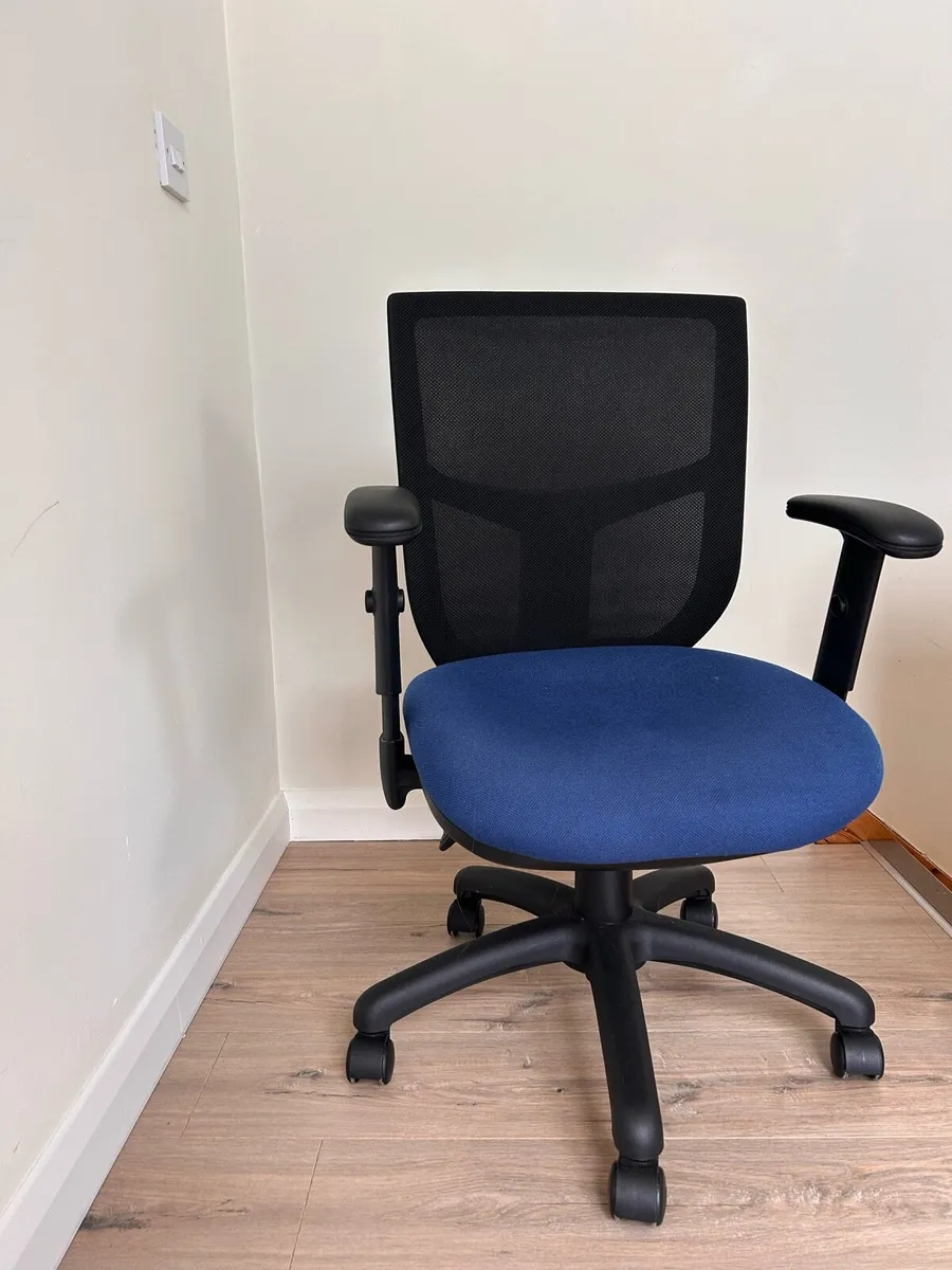 Ergonomic Office Chair - Image 1