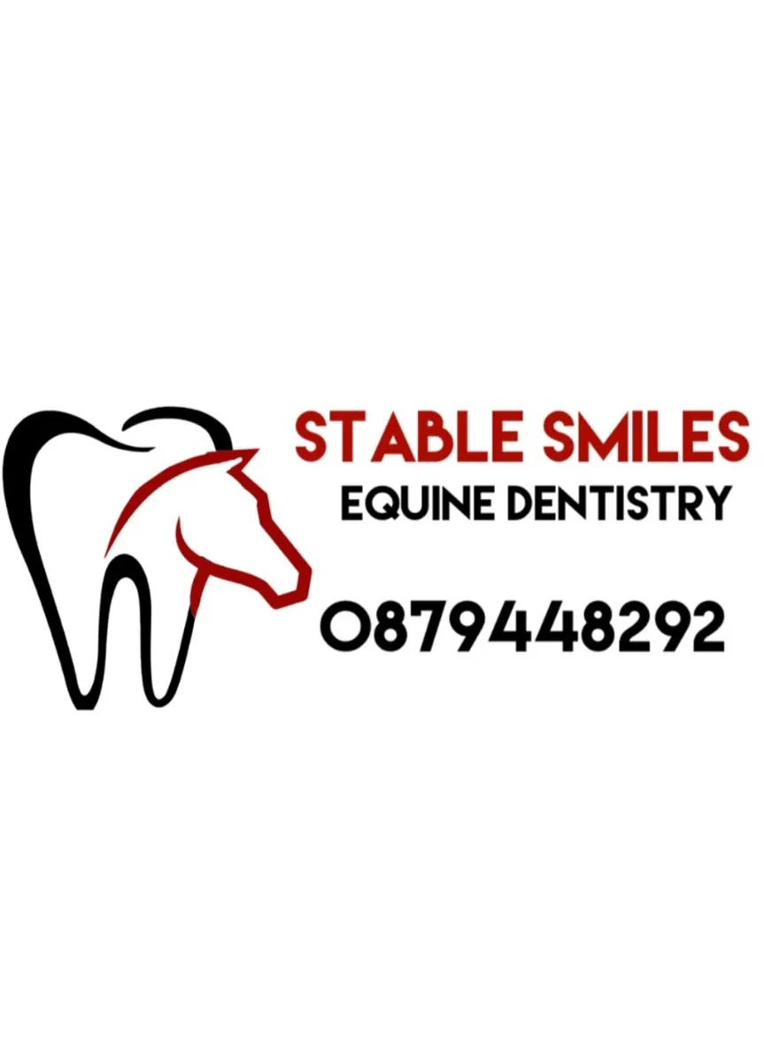 Equine Dentist - Image 1
