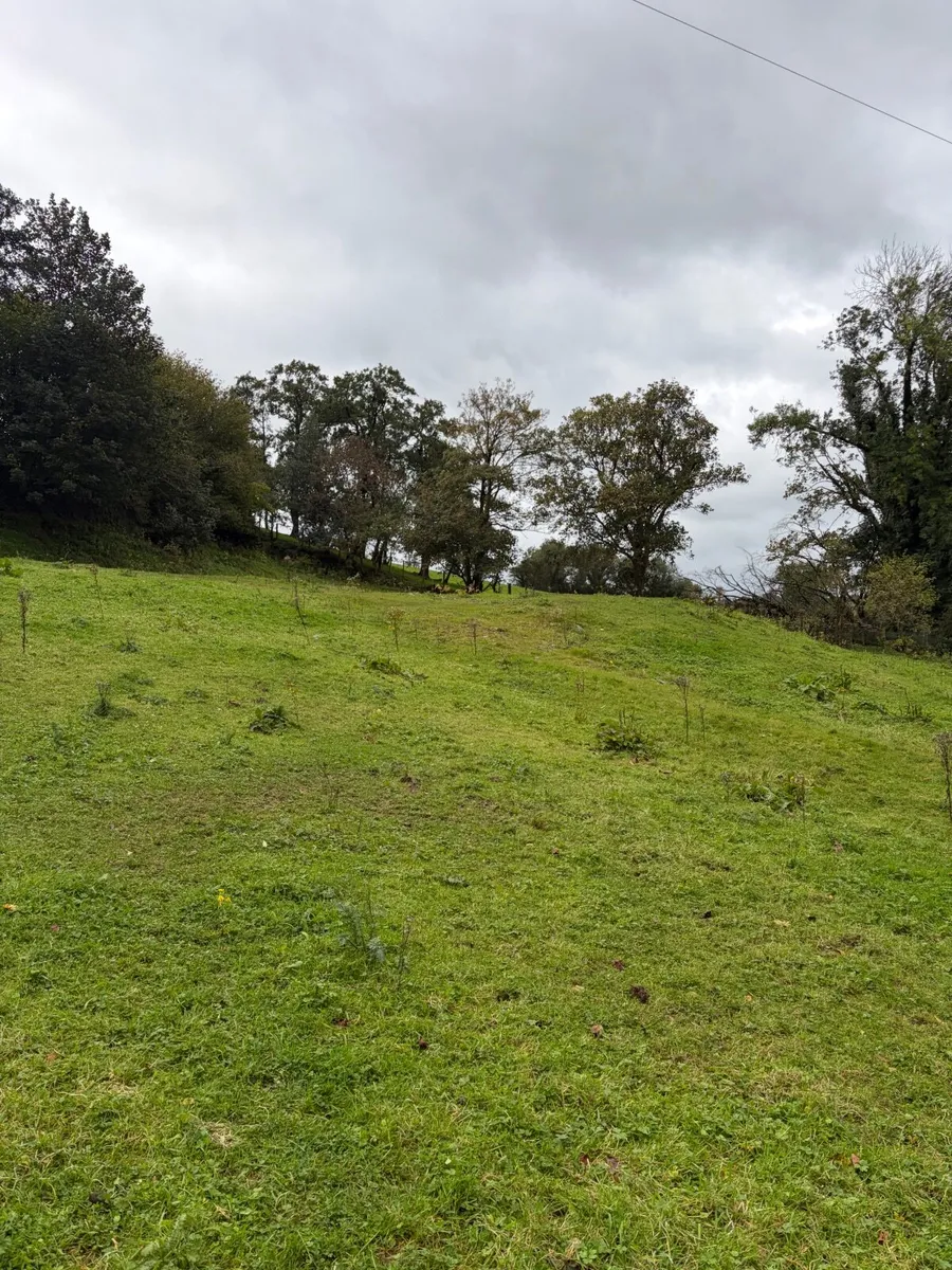 Site - Image 3