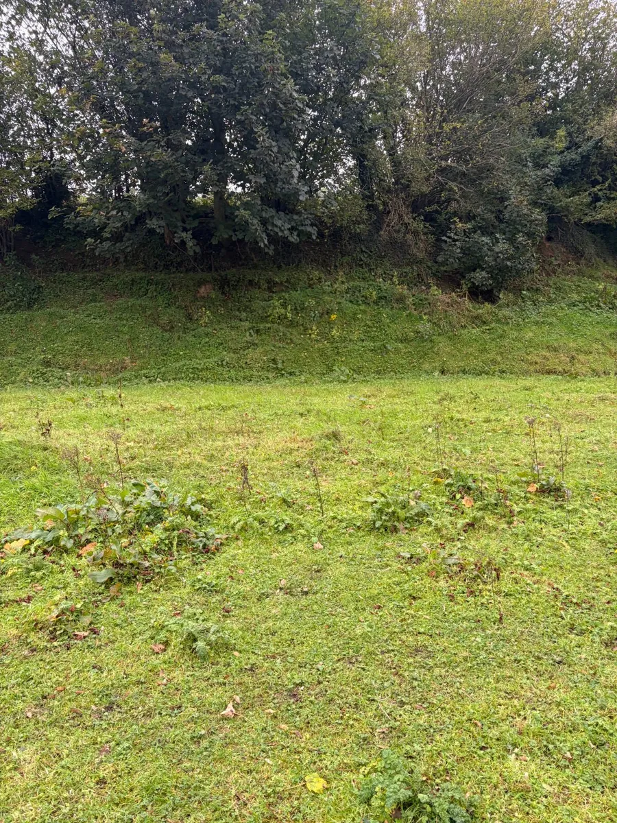Site - Image 4