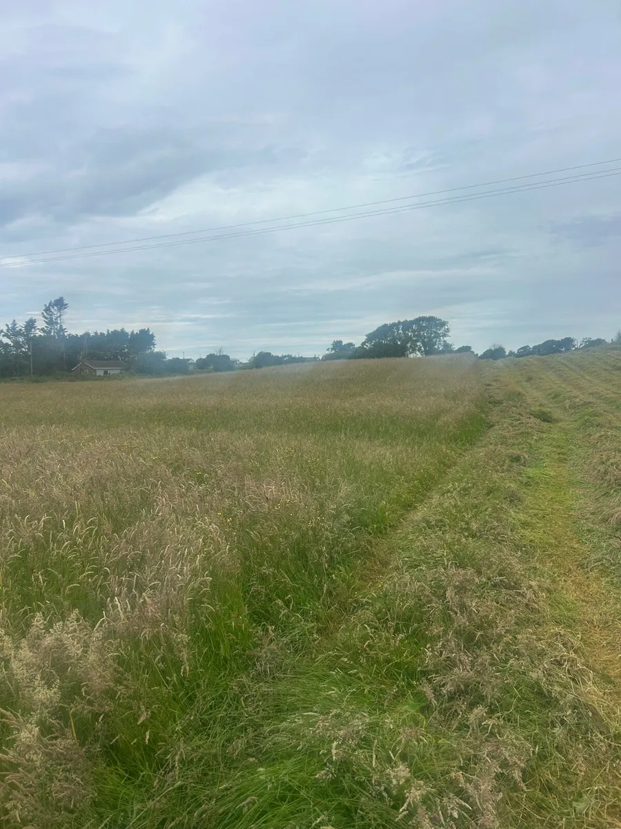 Hay forsale - Image 3