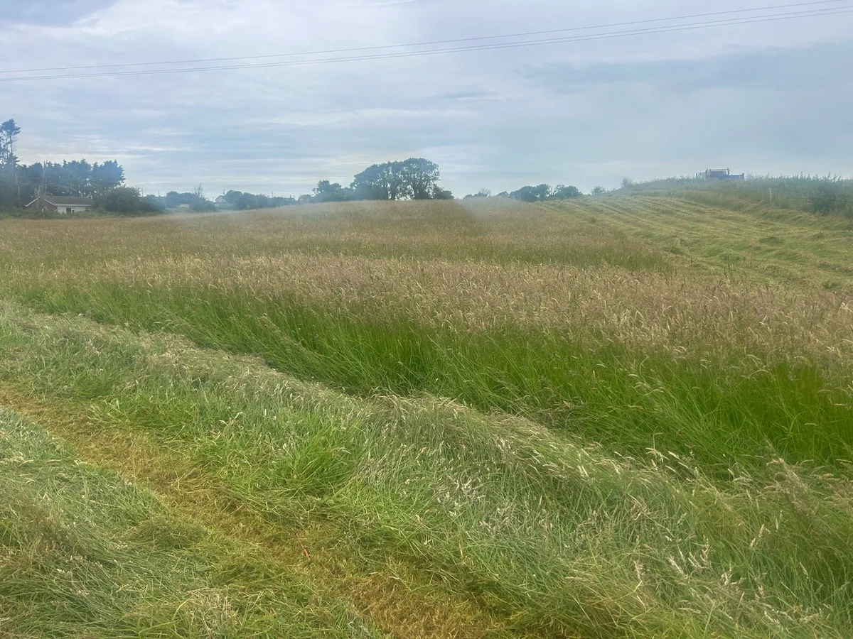 Hay forsale - Image 4