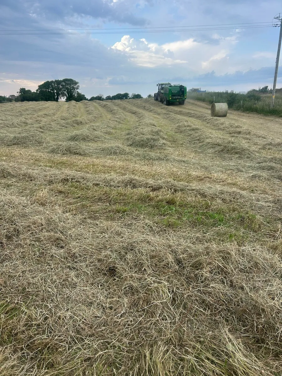 Hay forsale - Image 2