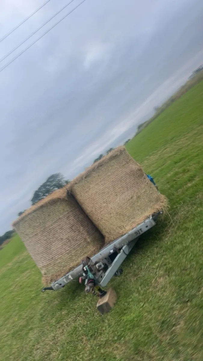 Hay forsale - Image 1