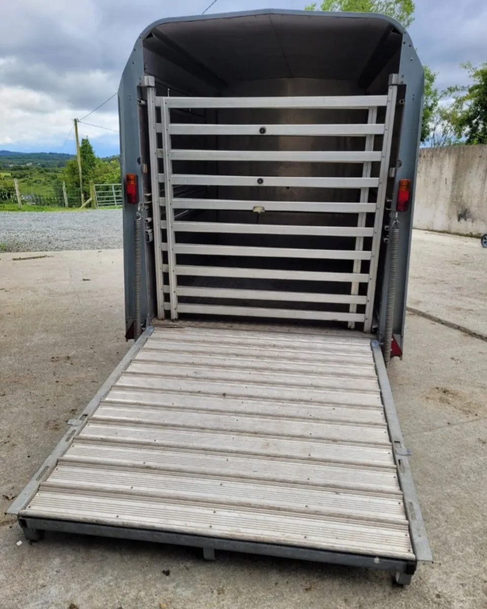 8X5 Ifor Williams Livestock Trailer - Image 4