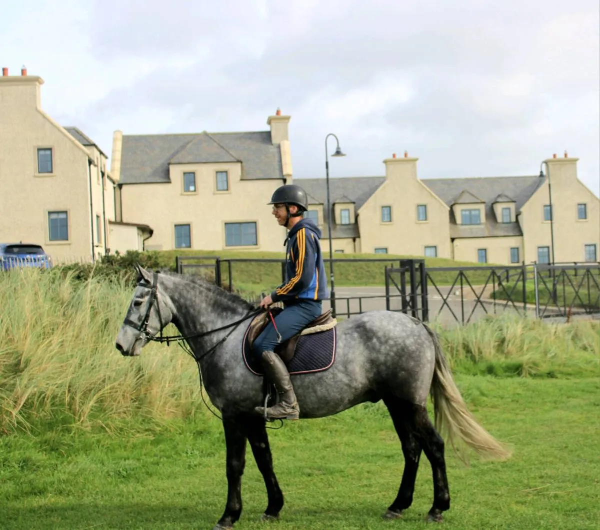 4yo 14.2 Connemara Gelding on Thurs 22nd Clifden - Image 2