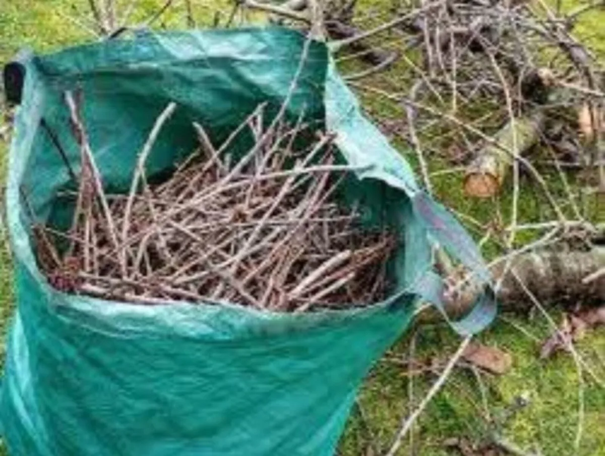 Rubbish removal - Image 2