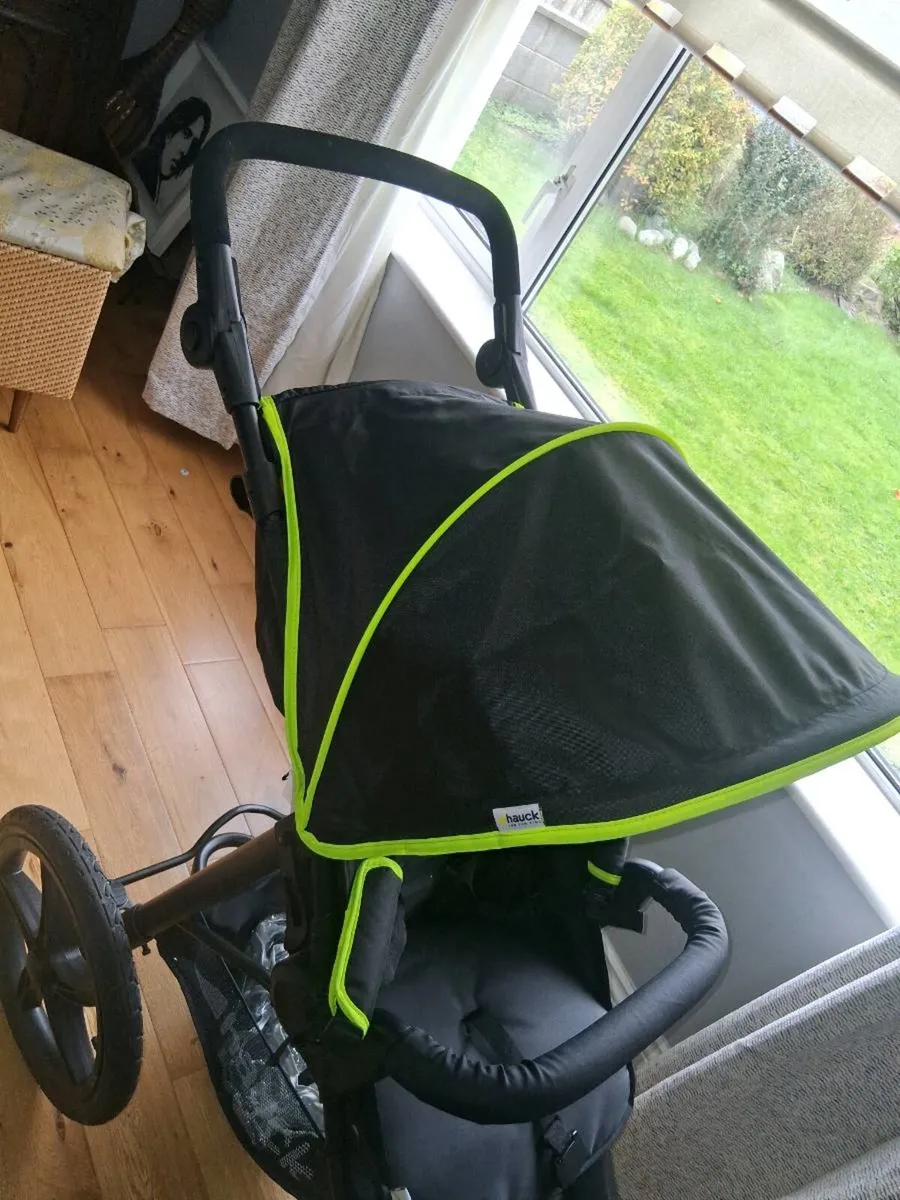 HAUK running buggy - Image 4
