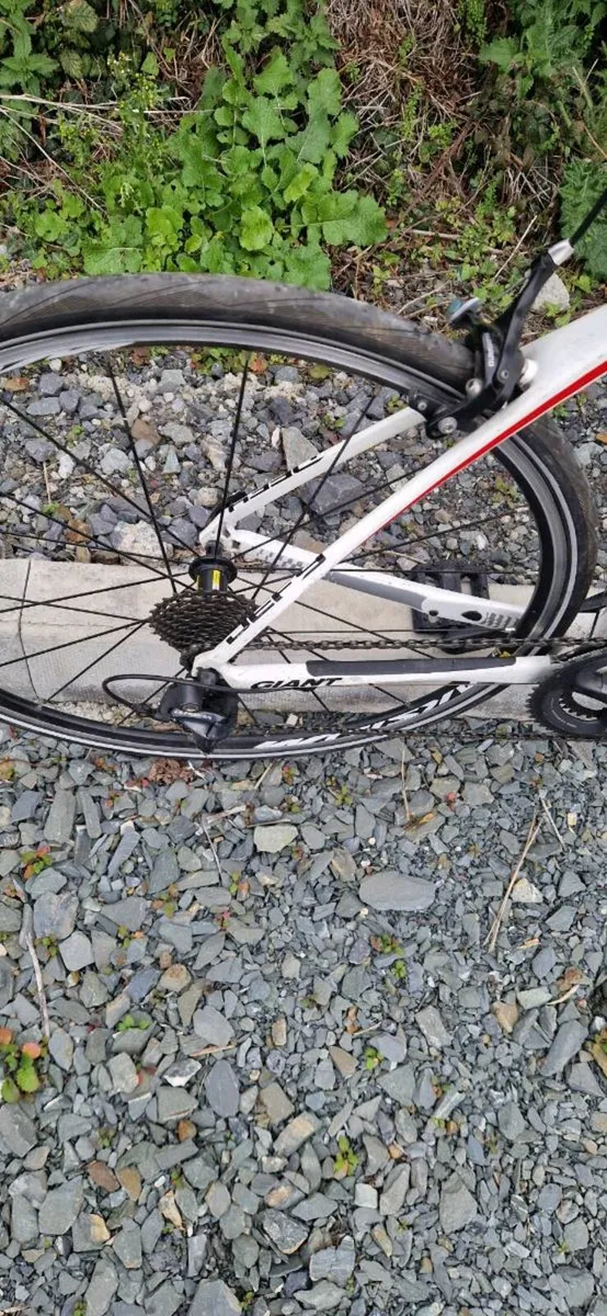 Giant defy 1 carbon ( serviced ) ( delivery ) - Image 3