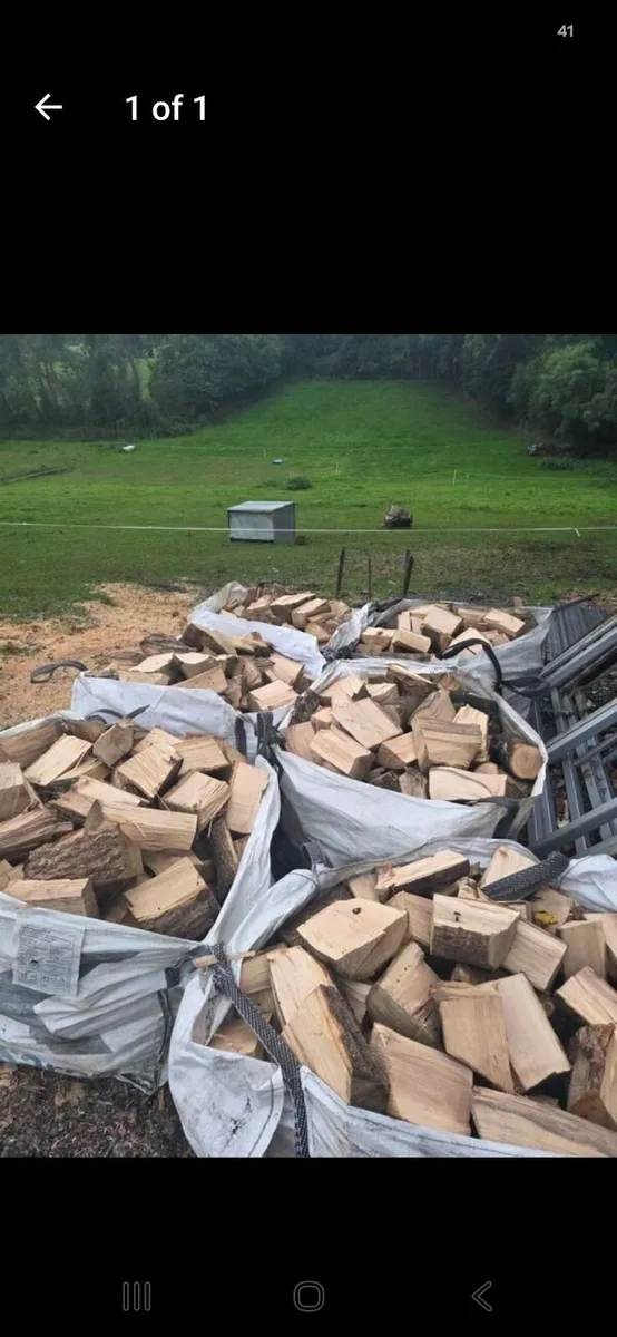 Firewood  hardwood ash