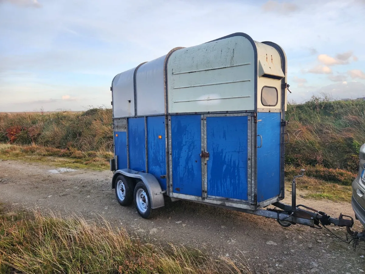 Horse box - Image 4