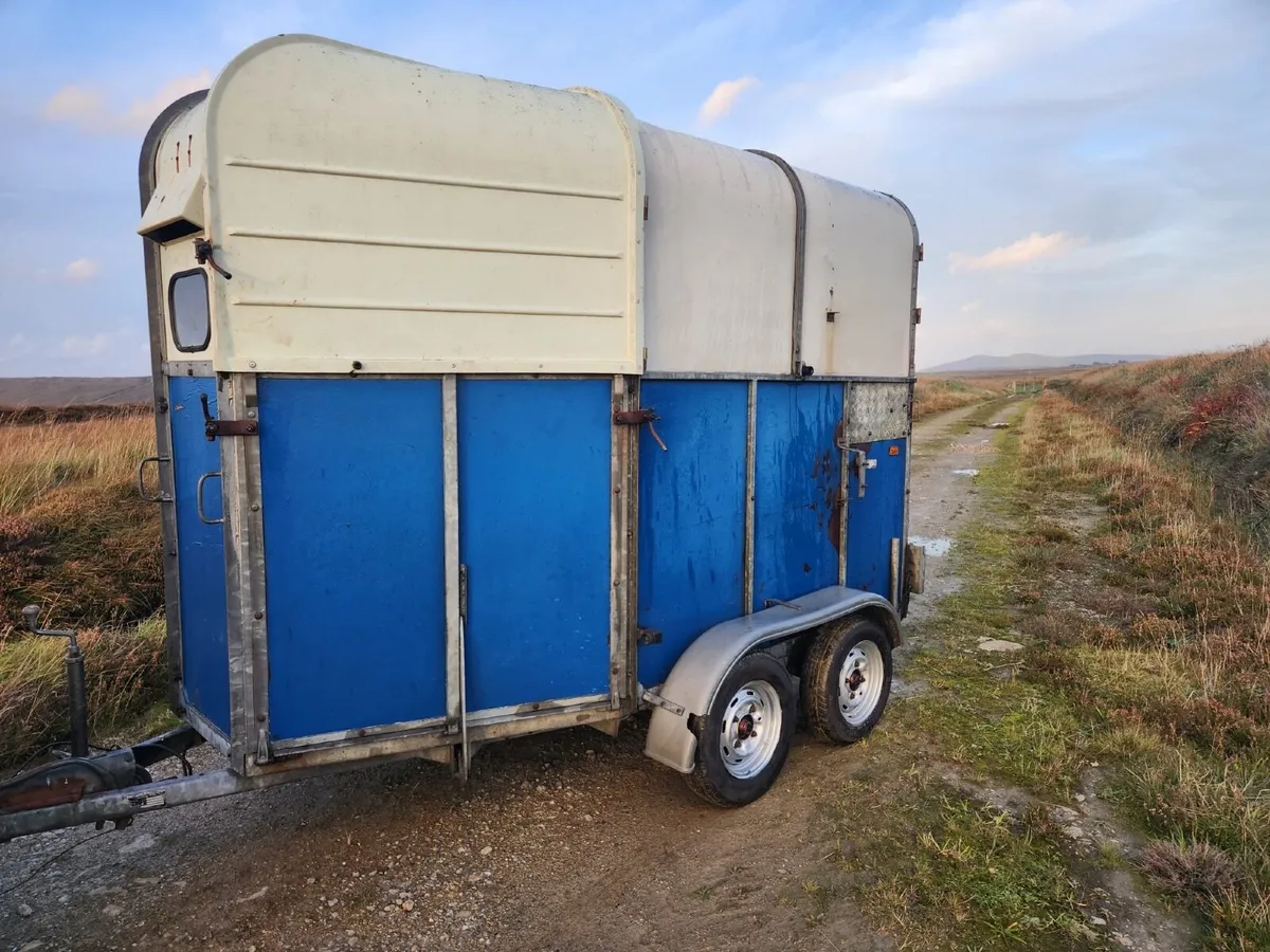 Horse box - Image 3