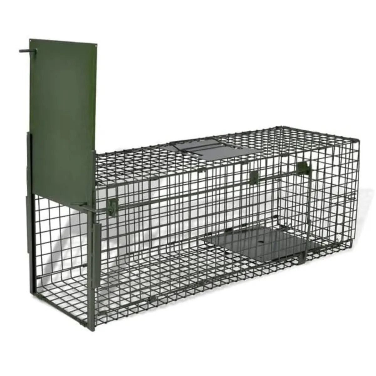 Life Trap with 1 Door

Description
With handy dime - Image 1