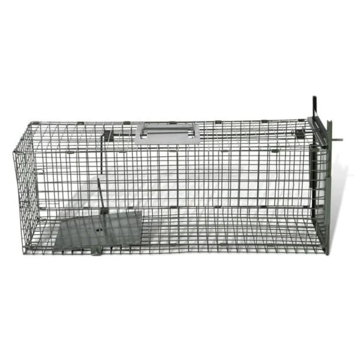 Life Trap with 1 Door

Description
With handy dime - Image 3