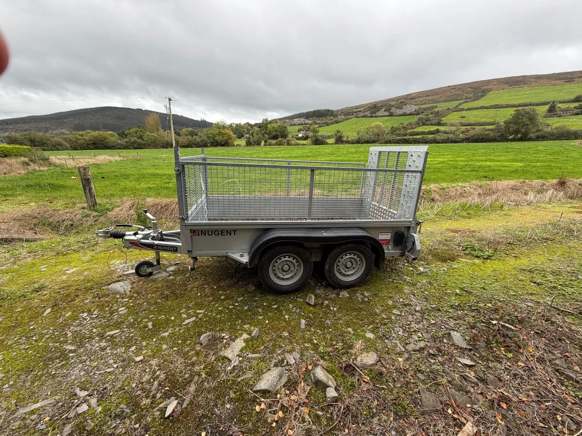 Nugent Trailer - Image 4