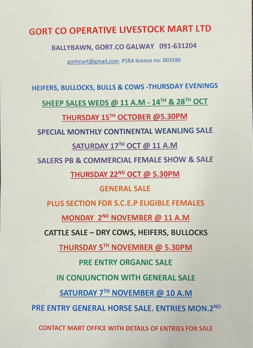 Gort Mart; Thursday 15th October - Image 1