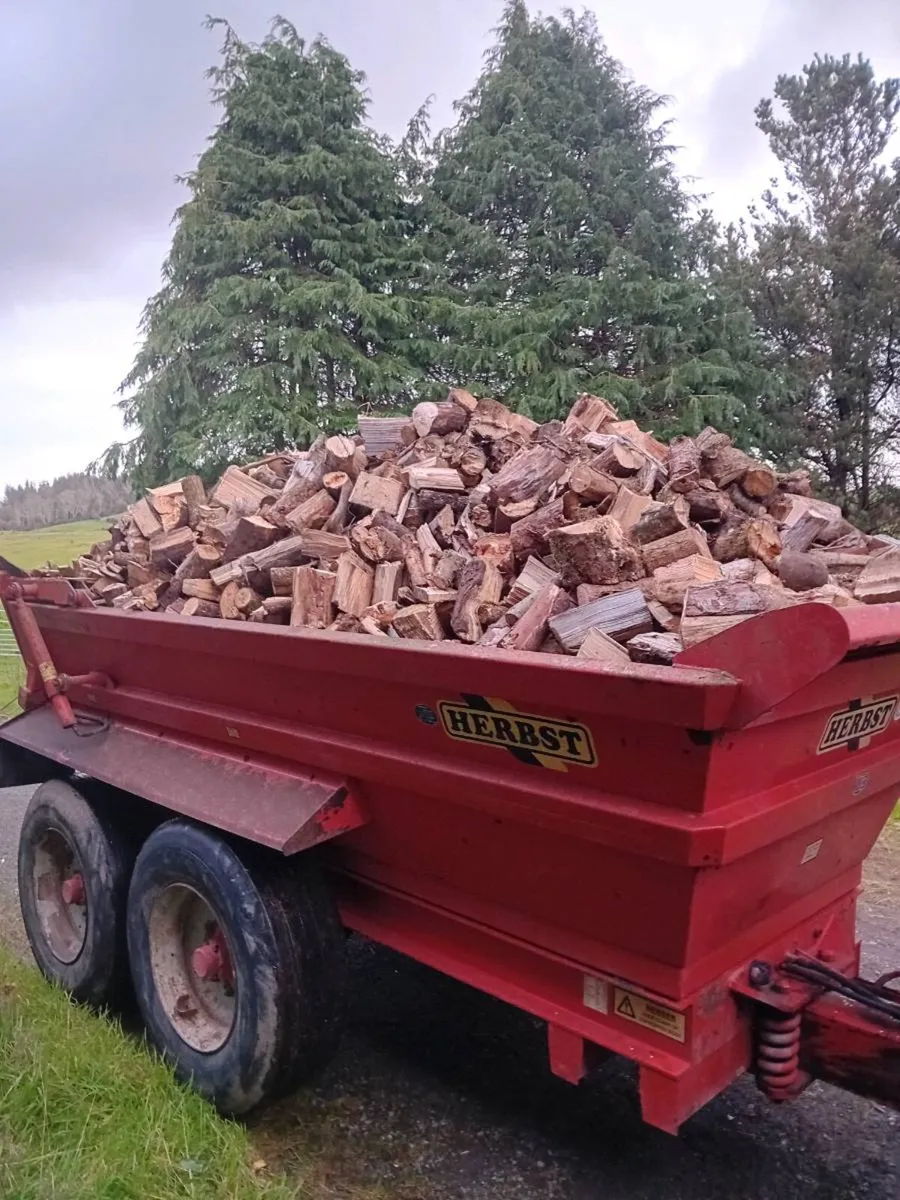 Dumper load of firewood - Image 1