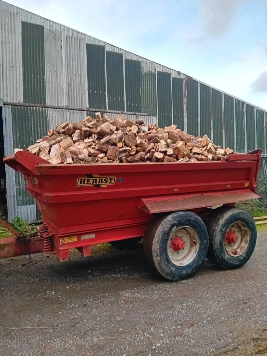 Dumper load of firewood - Image 2