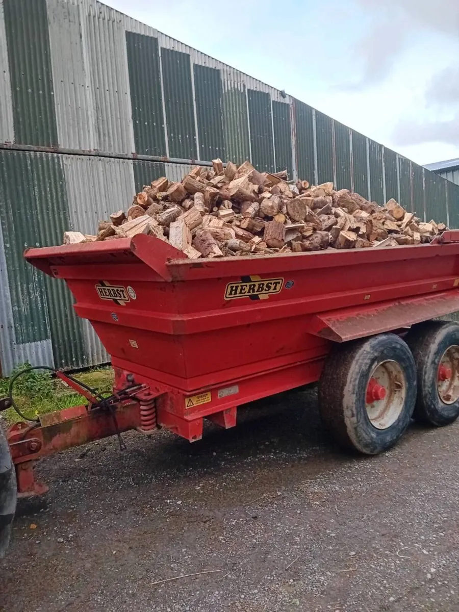 Dumper load of firewood - Image 3