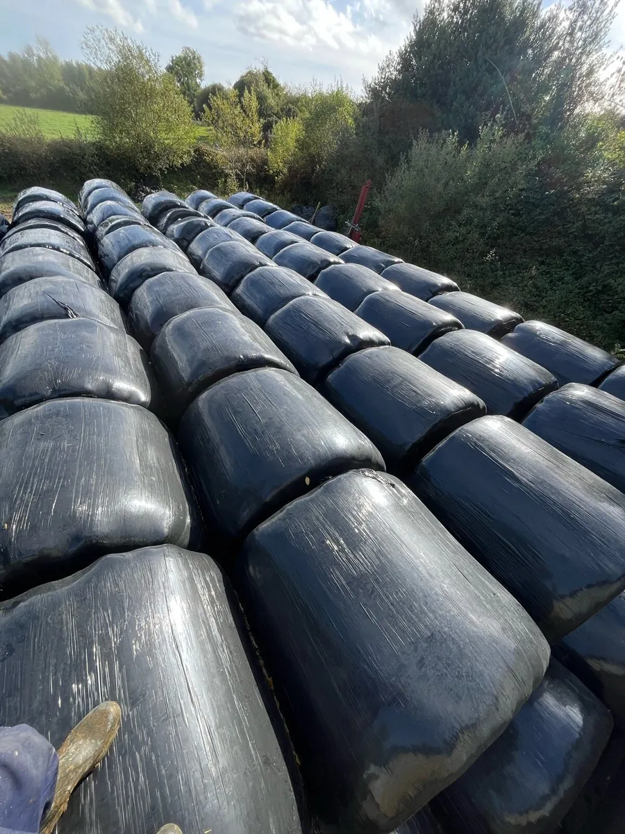 Straw and silage - Image 1