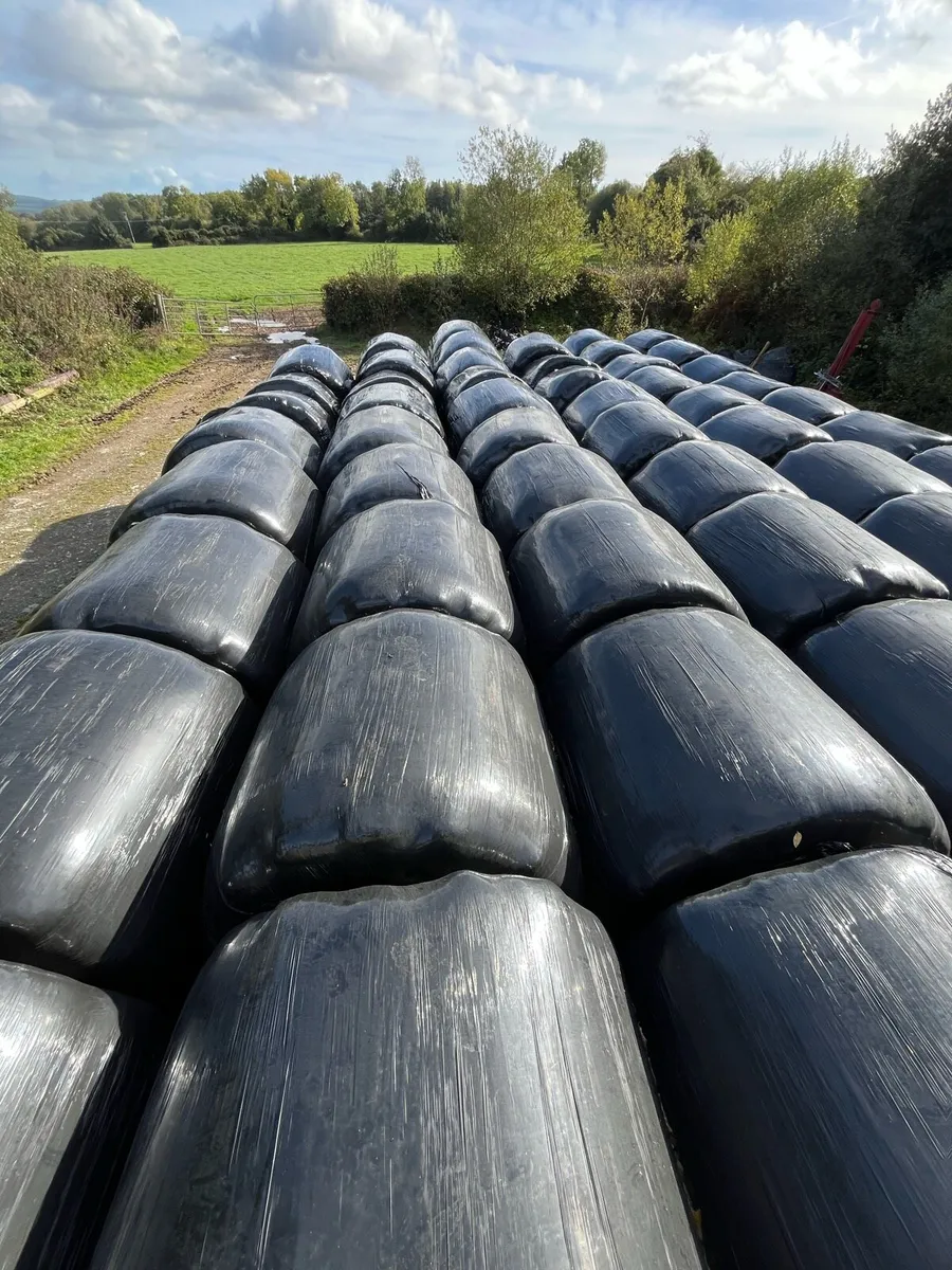 Straw and silage - Image 2
