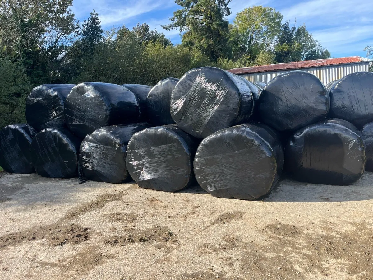 Straw and silage - Image 3