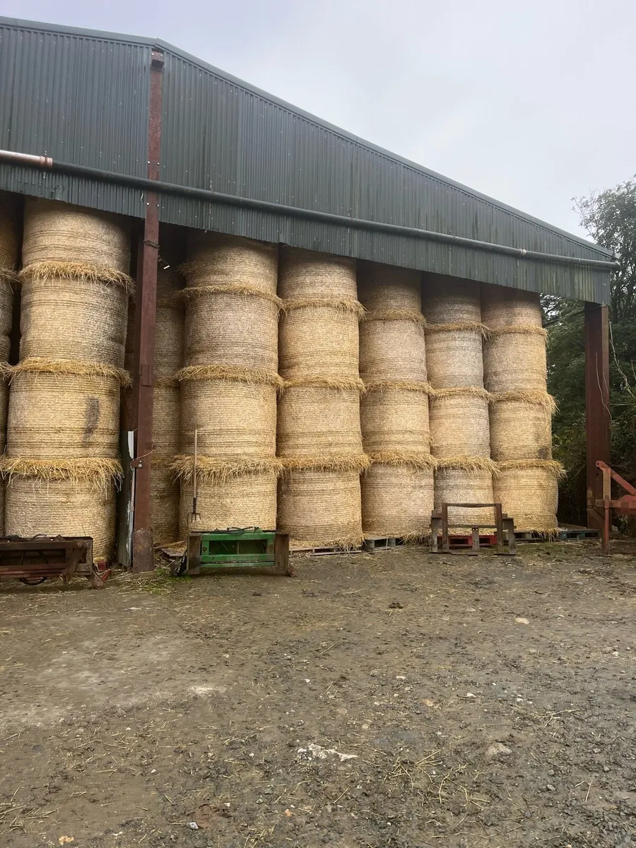 Straw and silage - Image 4