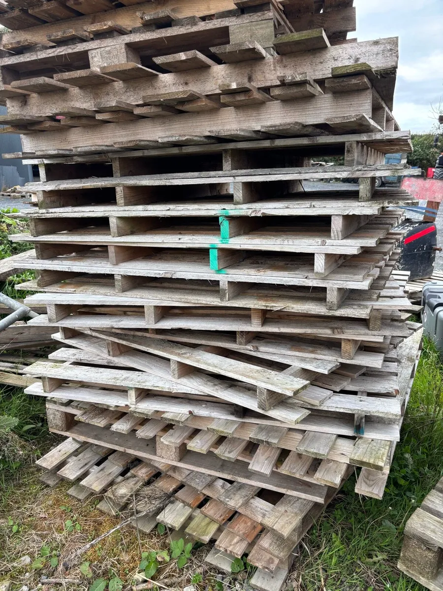 Timber pallets - Image 1