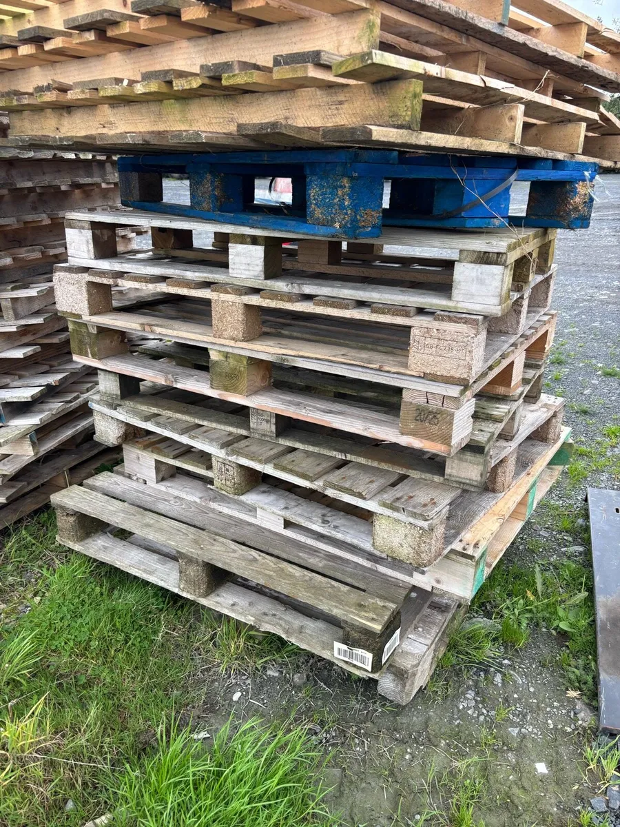 Timber pallets - Image 2