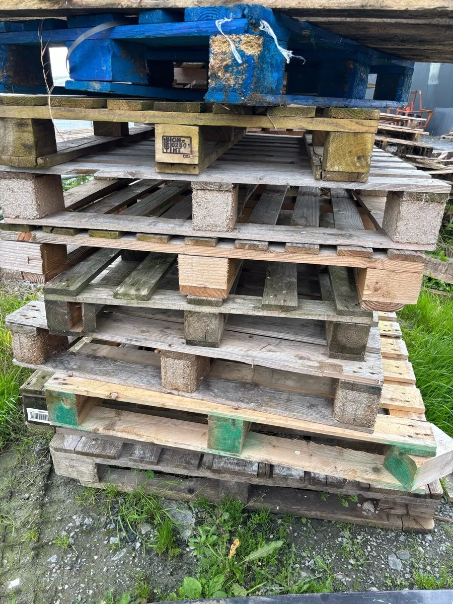 Timber pallets - Image 3