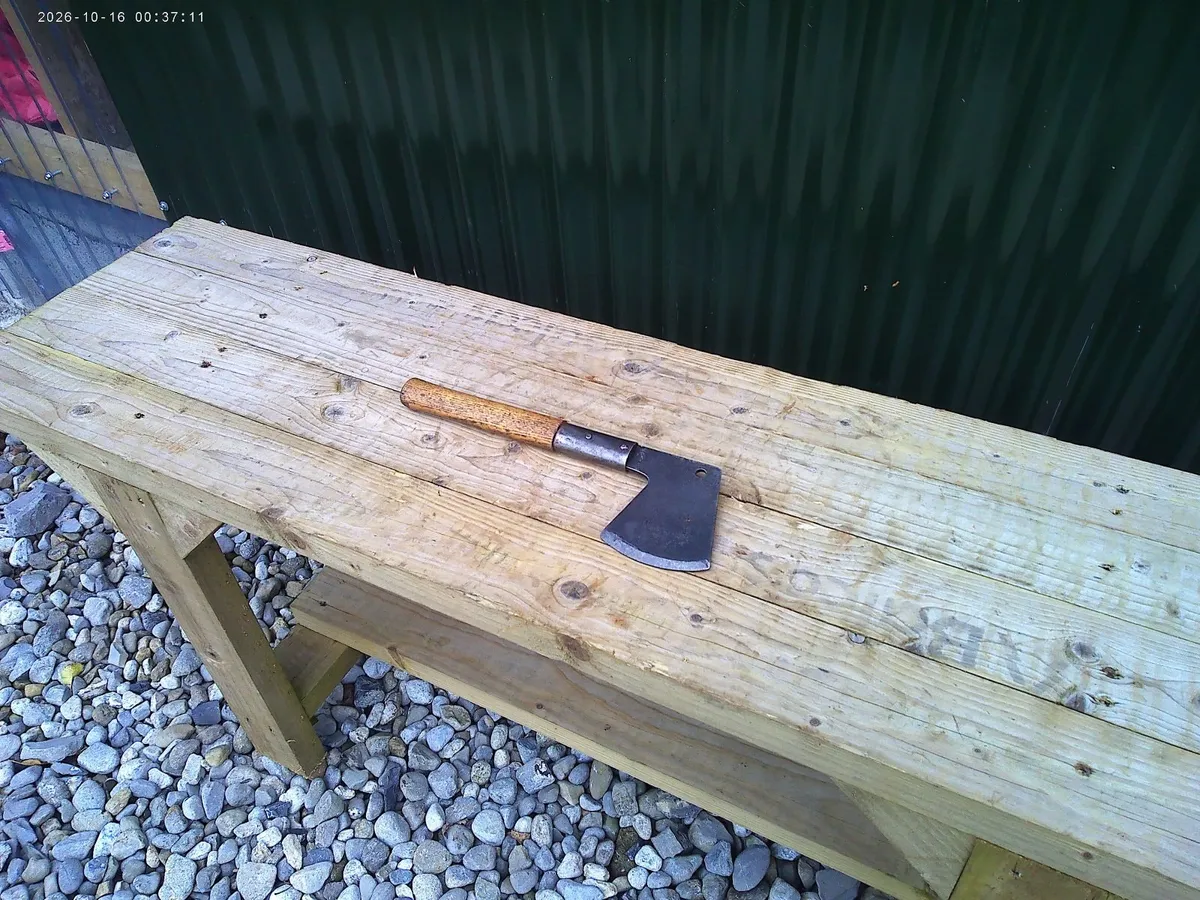 Axe - Image 2