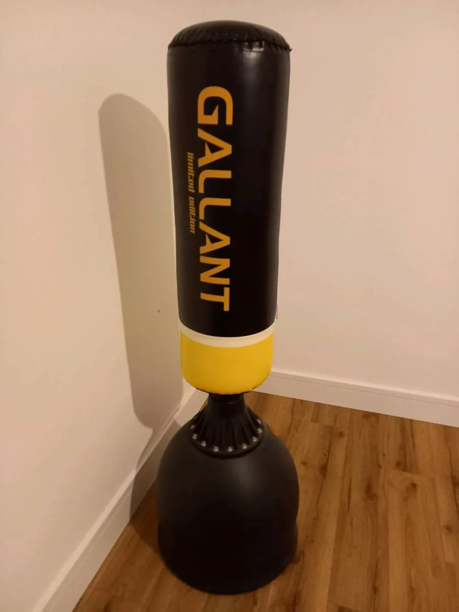 Freestanding Punch Bag