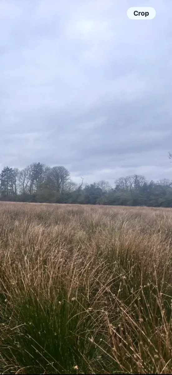 Land wanted for crops - Image 2
