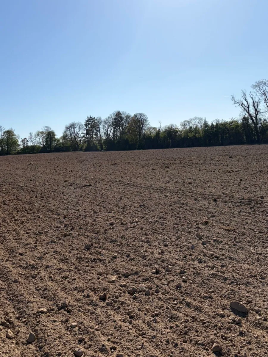 Land wanted for crops - Image 3