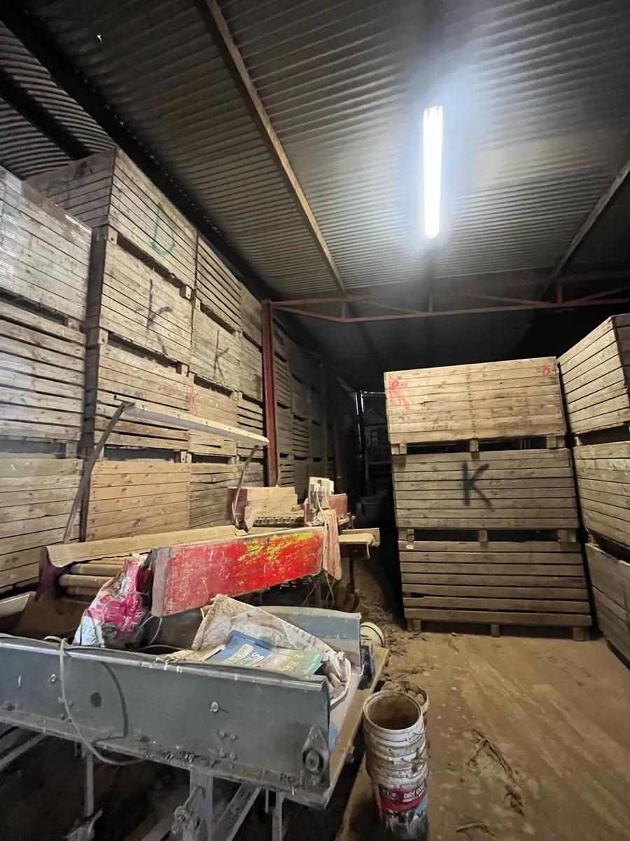 Potato box’s - Image 4