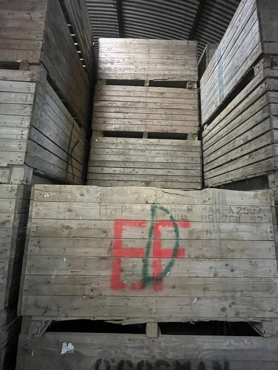 Potato box’s - Image 1