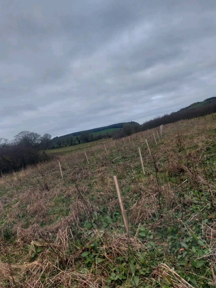 Farm services - Image 3