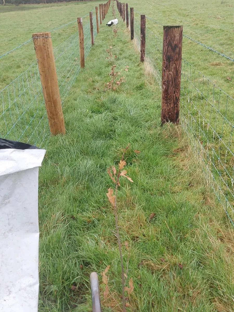 Farm services - Image 4