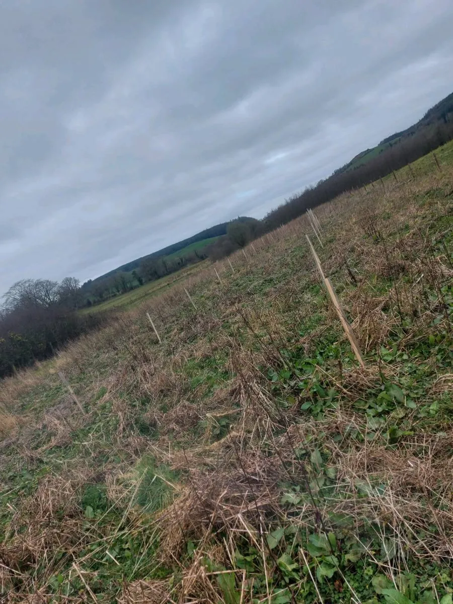 Farm services - Image 2