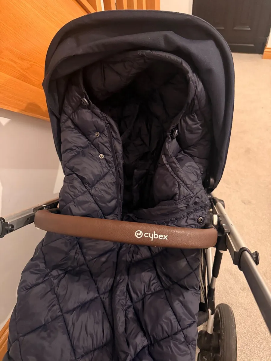 Twin Buggy - Image 1