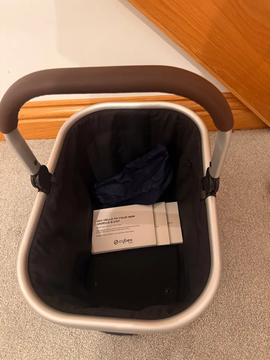 Twin Buggy - Image 2