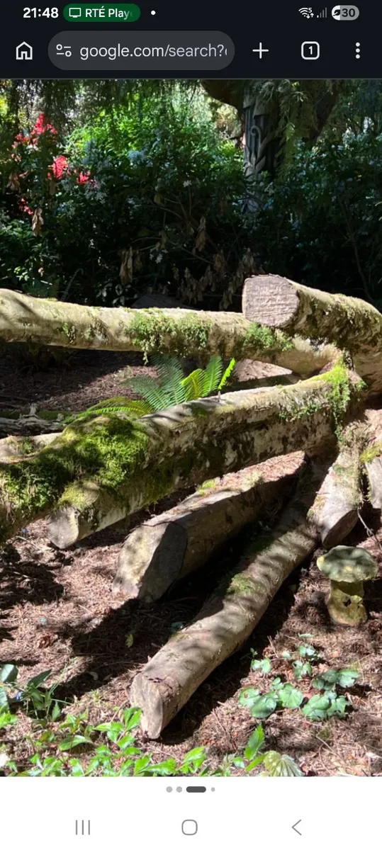 Firewood