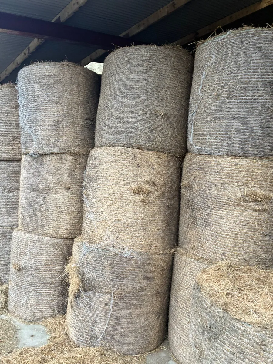 Hay - Image 1