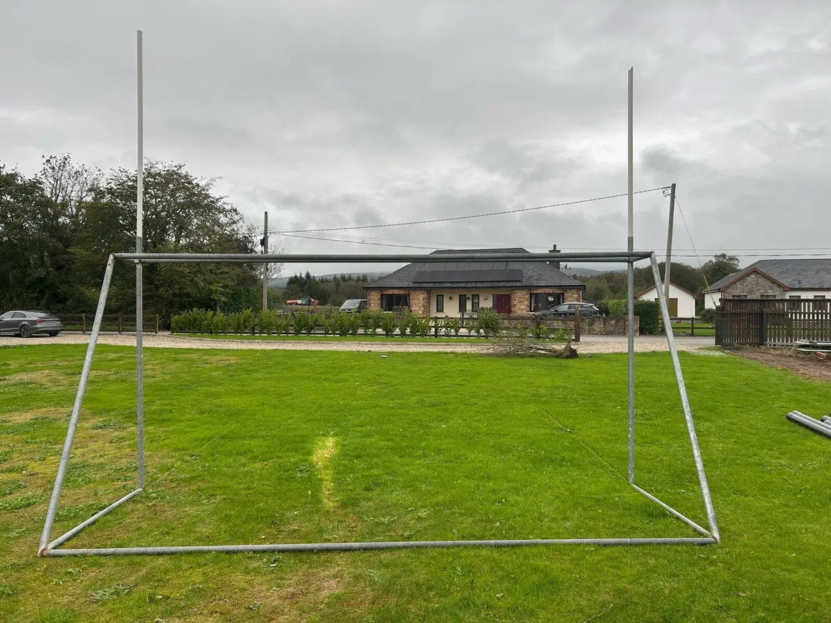 Hurling goals - Image 4