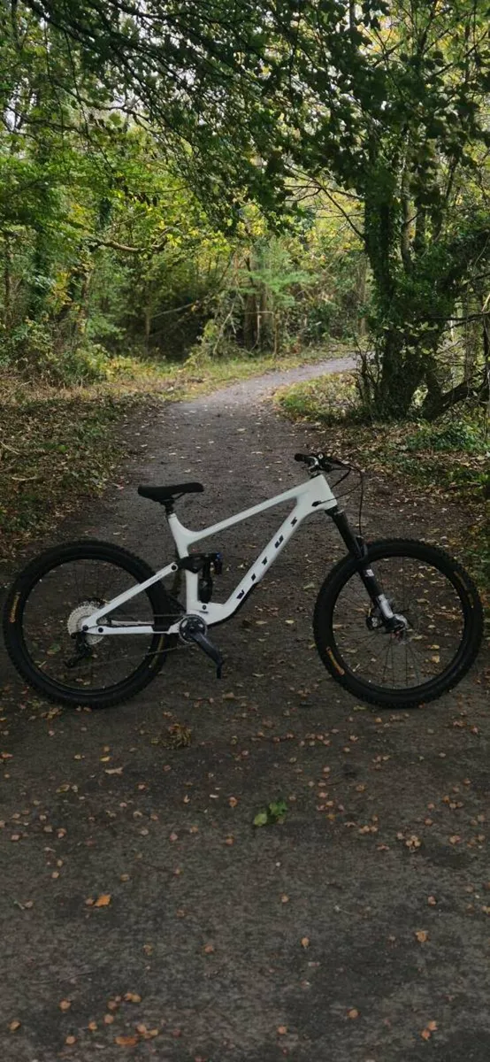 Vitus full suspension custom bike - Image 1