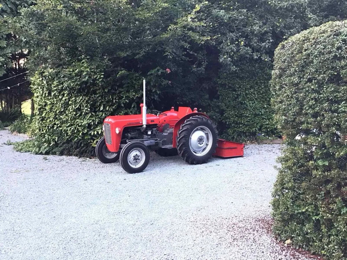 Massey Ferguson 35x - Image 3