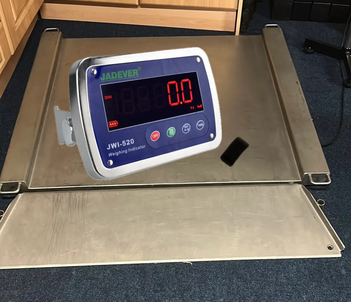 Weighing Scales (Fully Stainless) - Image 1