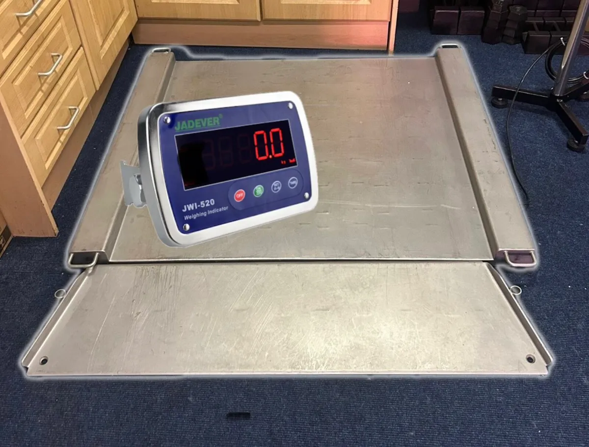 Weighing Scales (Fully Stainless) - Image 2