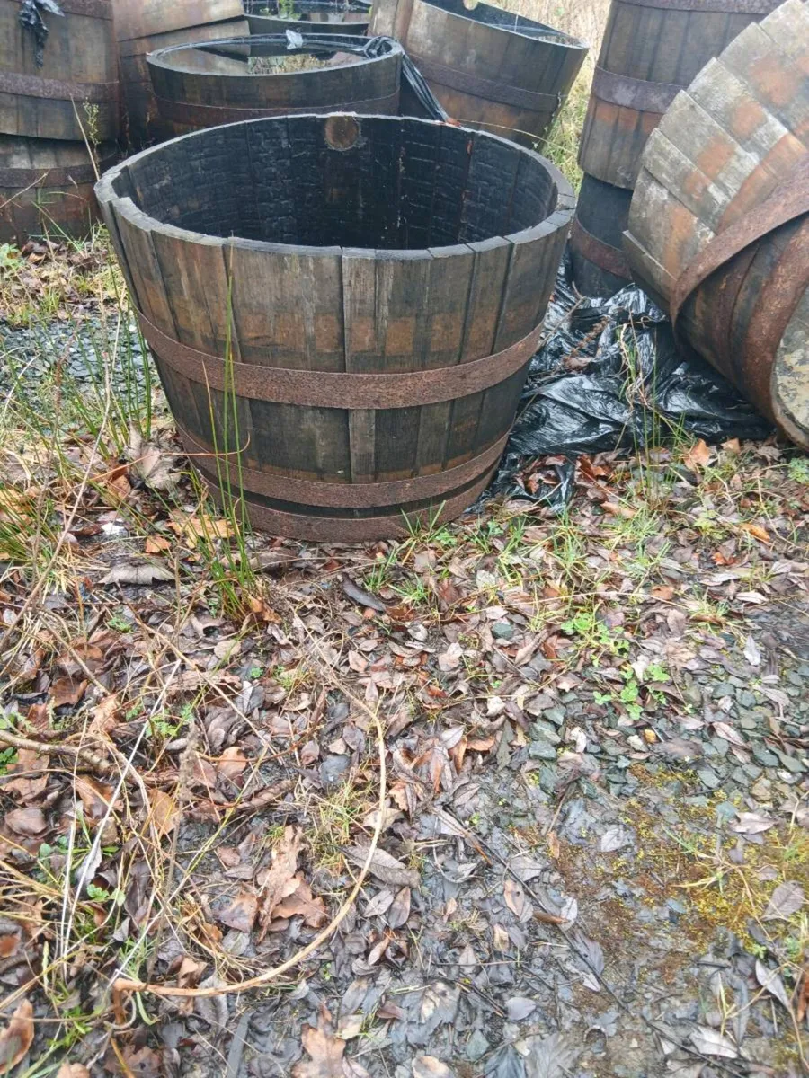 Oak barrel - Image 4