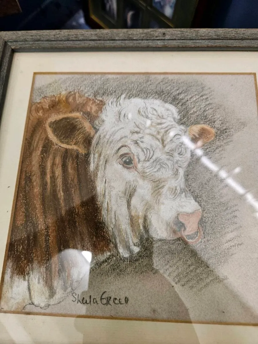 Cattle art - Image 1
